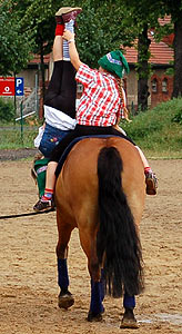 Sieben Zwerge