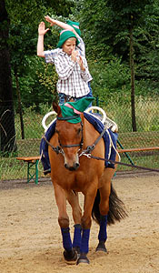 Sieben Zwerge