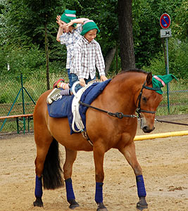 Sieben Zwerge