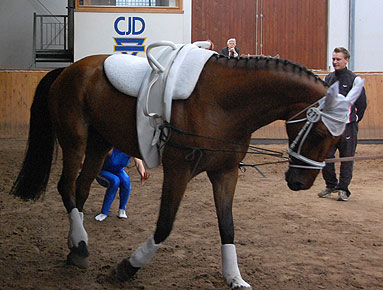 Annelie und Rocky