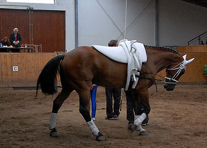 Annelie und Rocky