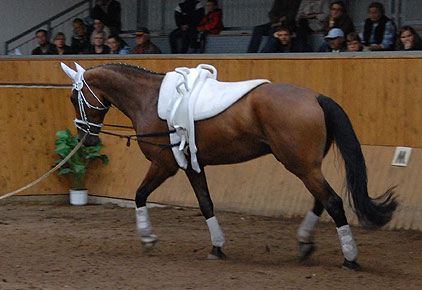 Kathrin und Rocky