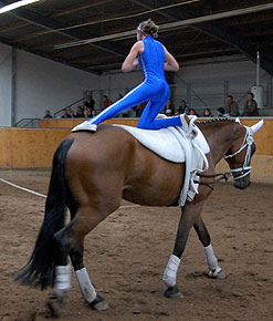 Kathrin und Rocky