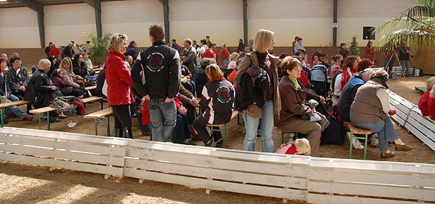Turnier Herrenkrug Magdeburg II