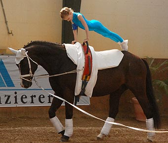 Turnier Herrenkrug Magdeburg II