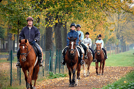 Reitabzeichen-Lehrgang