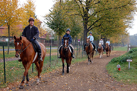 Reitabzeichen-Lehrgang