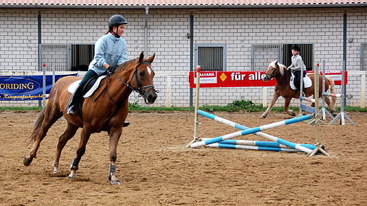 Reitabzeichen-Lehrgang