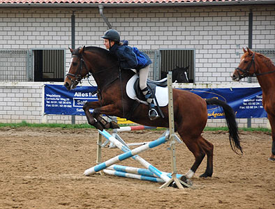 Reitabzeichen-Lehrgang