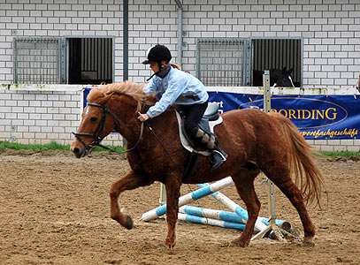 Reitabzeichen-Lehrgang