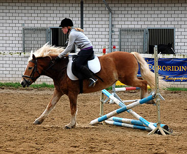 Reitabzeichen-Lehrgang