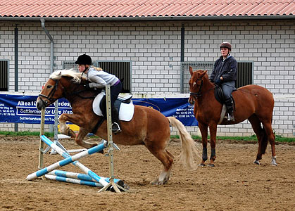Reitabzeichen-Lehrgang