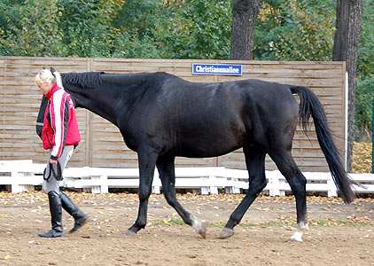 Reitabzeichen-Lehrgang