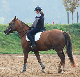 Reitabzeichen-Lehrgang