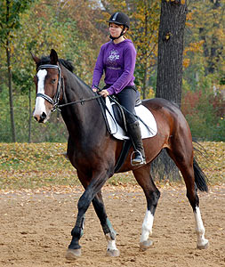 Reitabzeichen-Lehrgang