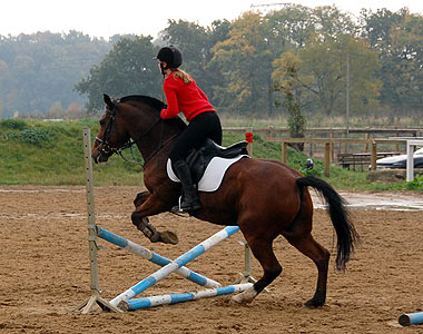 Reitabzeichen-Lehrgang