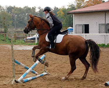 Reitabzeichen-Lehrgang