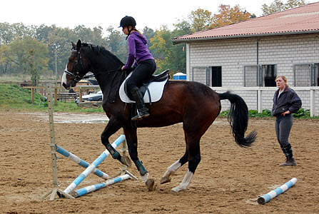 Reitabzeichen-Lehrgang