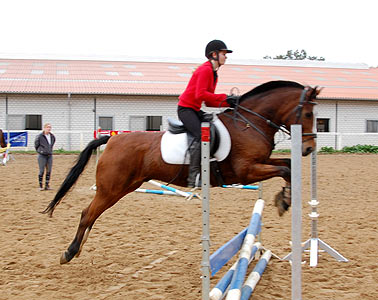 Reitabzeichen-Lehrgang