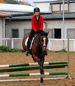Reitabzeichen-Lehrgang