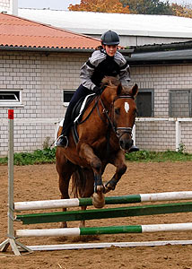 Reitabzeichen-Lehrgang