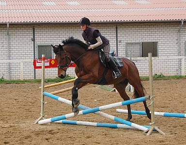 Reitabzeichen-Lehrgang