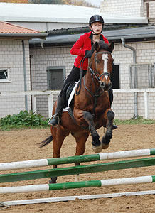 Reitabzeichen-Lehrgang