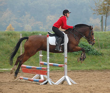 Reitabzeichen-Lehrgang