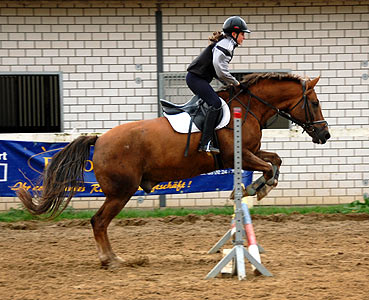 Reitabzeichen-Lehrgang