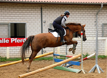 Reitabzeichen-Lehrgang