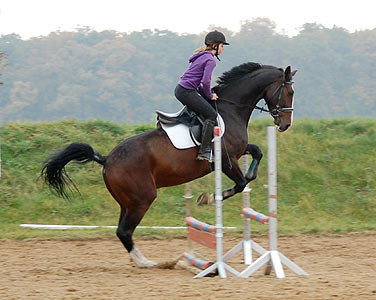 Reitabzeichen-Lehrgang