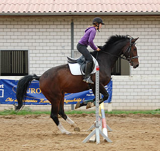 Reitabzeichen-Lehrgang