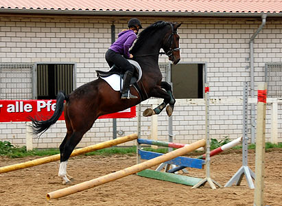 Reitabzeichen-Lehrgang