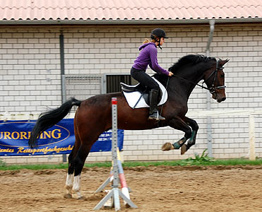 Reitabzeichen-Lehrgang