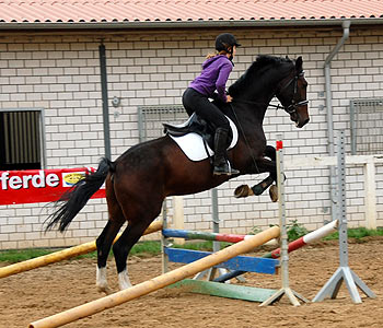 Reitabzeichen-Lehrgang