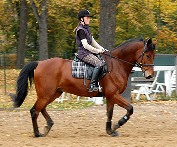 Reitabzeichen-Lehrgang