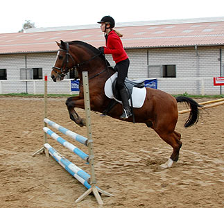 Reitabzeichen-Lehrgang