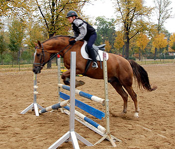 Reitabzeichen-Lehrgang