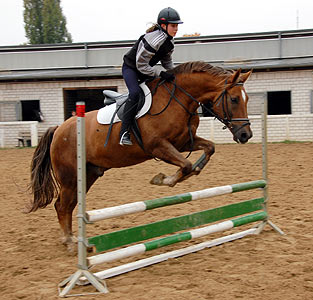 Reitabzeichen-Lehrgang