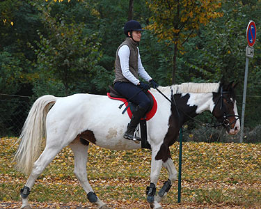 Reitabzeichen-Lehrgang