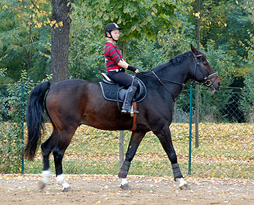 Reitabzeichen-Lehrgang
