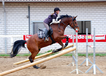 Reitabzeichen-Lehrgang
