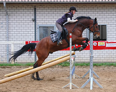 Reitabzeichen-Lehrgang