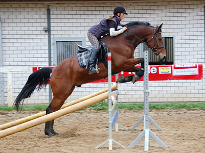 Reitabzeichen-Lehrgang
