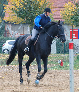 Reitabzeichen-Lehrgang