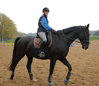 Reitabzeichen-Lehrgang