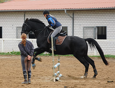 Reitabzeichen-Lehrgang