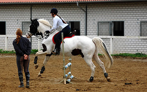 Reitabzeichen-Lehrgang