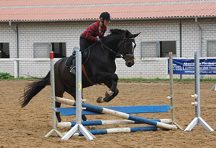Reitabzeichen-Lehrgang