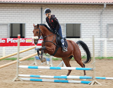 Reitabzeichen-Lehrgang